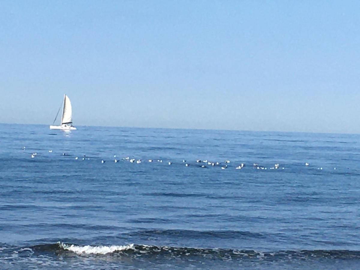 מרטיג La Mouette Bleue Maison De Ville Individuelle Et Climatisee מראה חיצוני תמונה